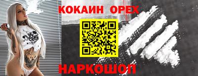 стаф Сланцы