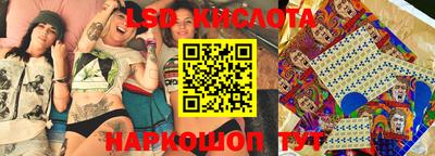 стаф Сланцы