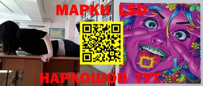 стаф Сланцы
