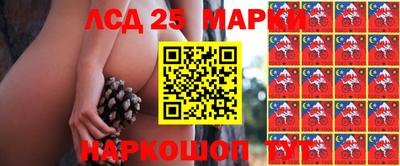 стаф Сланцы