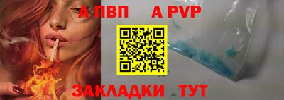 стаф Сланцы