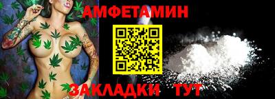 стаф Сланцы
