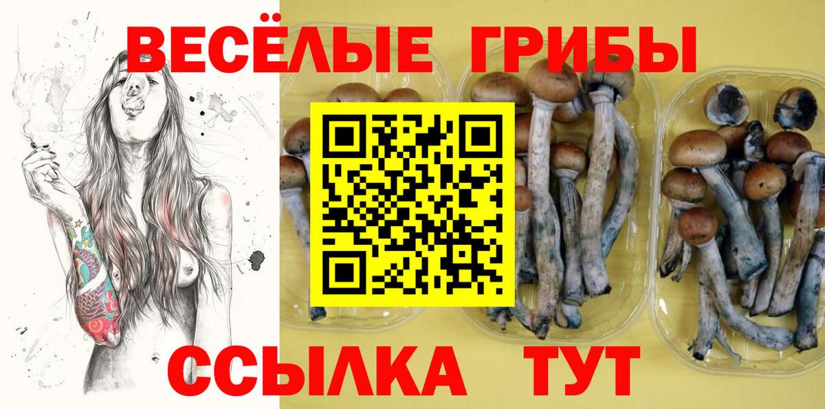 Галлюциногенные грибы GOLDEN TEACHER  Вход с VPN  Артёмовский 