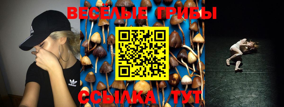 Псилоцибиновые грибы GOLDEN TEACHER Артёмовский